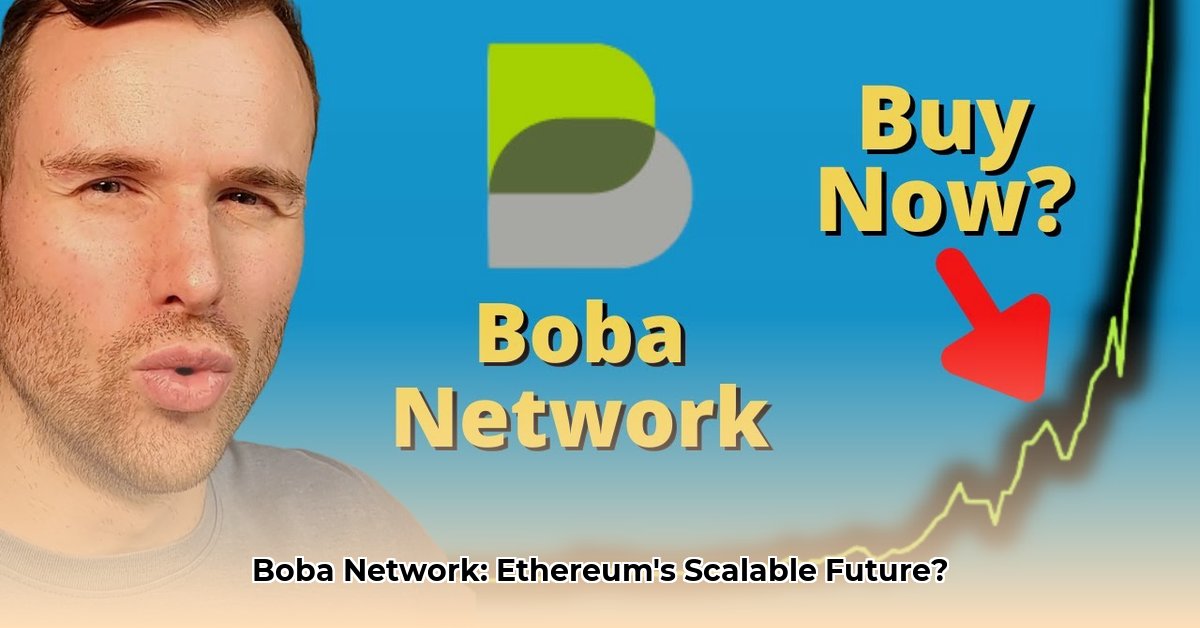 boba-network-news
